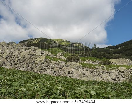 Beautiful Mountain Valley Smutna Dolina With Rock Boulders, Footpath Trail, Dwarf Scrub Pine And Gre
