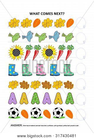 Autumn Themed Educational Logic Game Training Sequential Pattern Recognition Skills: What Comes Next