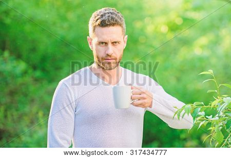 I Prefer Green Tea. Refreshing Drink. Man Bearded Tea Farmer Hold Mug Nature Background. Green Tea C