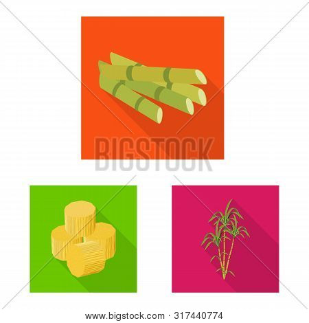 Vector Illustration Of Plant And Plantation Symbol. Set Of Plant And Agriculture Vector Icon For Sto