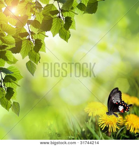dandelions กับผีเสื้อในโดว์
