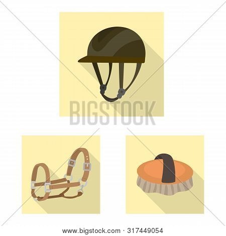 Isolated Object Of Track And Racing Icon. Set Of Track And Riding Stock Symbol For Web.