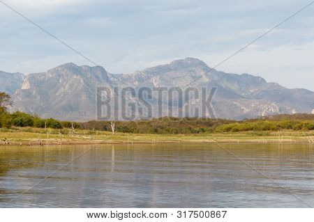 Mesquite trees sticking up out of the surface of the calm water of Lake El Salto, a famous freshwate