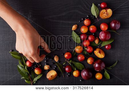 Faceless Picture Of Fresh Plums, Aliches And Blueberries Decorated With Green Leaves And Pits Isolat