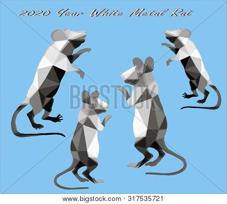 Vector Isolated Image In