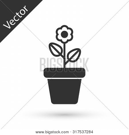 Grey Flower In Pot Icon Isolated On White Background. Plant Growing In A Pot. Potted Plant Sign. Vec