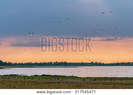Population Of Wild Geese At Scenic Guelper See (havelaue) In Brandenburg, Germany At Sunset