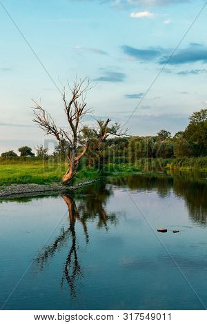 Wetlands Of The River Havel Near Guelpe, Havelaue, Brandenburg, Germany With Reflections Of Several 