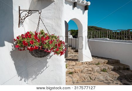 Red Flowers Hung On A White Wall In The Traditional Fishing Village Of Binibeca On The Coast Of Meno