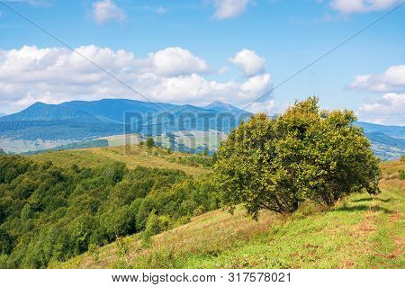 Wonderful Autumn Mountain Landscape. Pikui Peak Of Watershed Ridge Beneath Clouds. Trees On Grassy R
