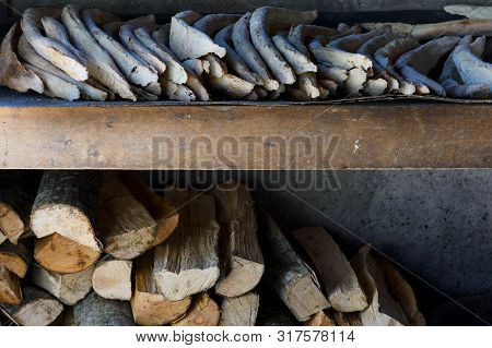 Row Of Traditional Georgian Bread - Shotis Puri, Bread Of Georgian Warriors And Firewood