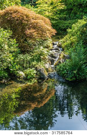 Water Flows Inton A Pond At A Garden In Renton, Washington.