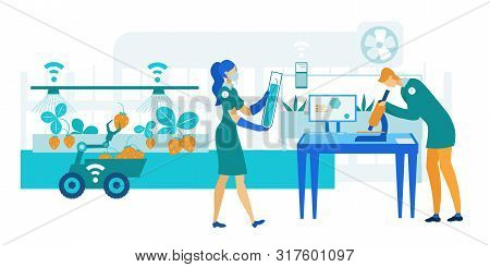 Smart Farm Greenhouse For Growing Strawberries. Use Artificial Intelligence And Robotization On Farm