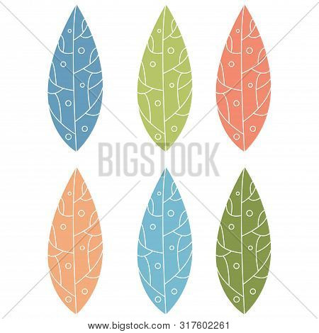 Set Leaves. Exotics. Vintage Botanical Illustration. Colorful.