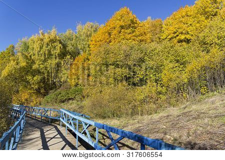 Trees With Yellowed Foliage On The Side Of A Ravine. Sunny Day In October. Landscape Reserve Teply S