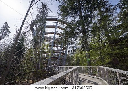 Baumwipfelpfad, Large And High Pedestrian Tower Attraction For Tourists In The German Forest Schwarz