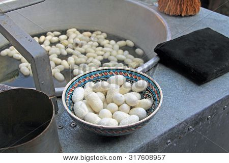 White Silkworm Cocoons Floating In Hot Water Prior To Having The Silk Thread Taken Off In A Kibbutz 