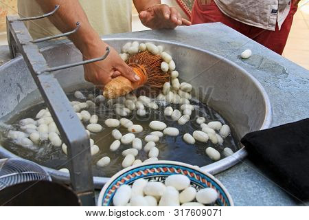 Carding White Silkworm Cocoons Floating In Hot Water In A Kibbutz In Turkey Near Selcuk.