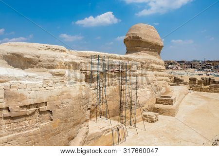 Famous Egyptian Sphinx At Giza From The Back Side