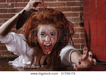 恐怖形势与血腥的脸的女人