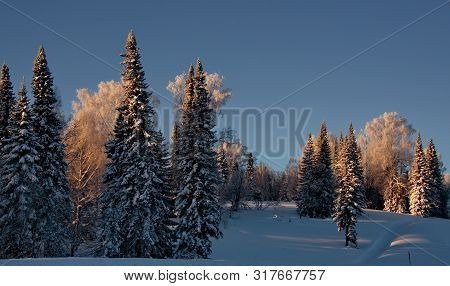 Russia. The South Of Western Siberia. Sunny Winter Day In Mountain Shoria.