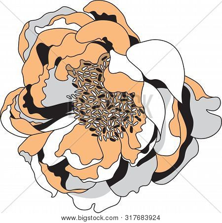 Simple Vector Clip Art Peony Flower Image
