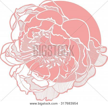 Simple Vector Clip Art Peony Flower Image