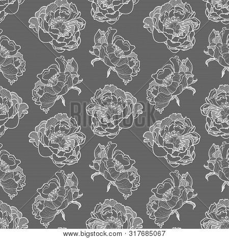 Peony Flower Seamless Pattern Vector Hand Drawn