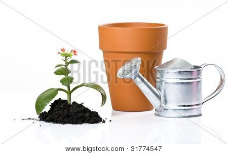 Planting fresh green to save environment