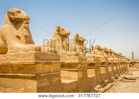 Ram-headed Sphinxes Line The Road Outside The Temple In Karnak, Egypt
