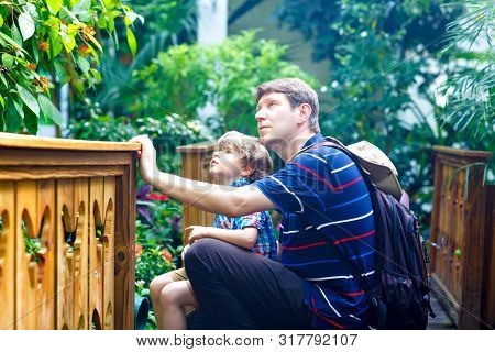 Father And Preschool Kid Boy Discovering Flowers, Plants And Butterflies At Botanic Garden. Family, 