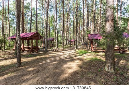 Wooden Camping Arbors  With All Conviniences In A Pine Forest