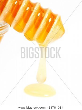 isolation of honey dripper