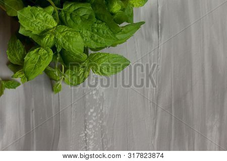 Mint Leaves Isolated On Grey Background, Ingredient For Herbal Tea And Homeopathy With Space For Tex