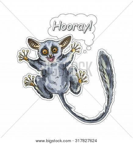 Funny Animal Galago Stickers On A White Background. Hand Painted Illustration