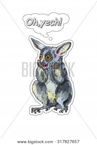 Funny Animal Galago Stickers On A White Background. Hand Painted Illustration