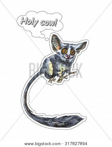 Funny Animal Galago Stickers On A White Background. Hand Painted Illustration