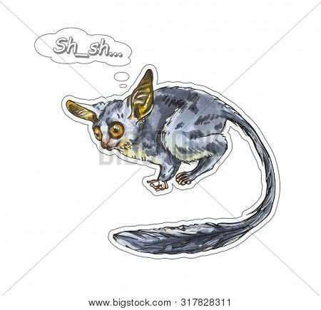 Funny Animal Galago Stickers On A White Background. Hand Painted Illustration