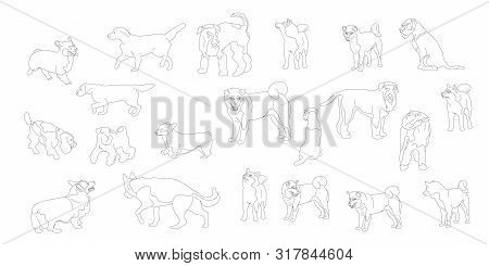 Set Of Different Dogs. Big Collection Of Dog Breeds. Isolated On White Background. Flat Style Cartoo