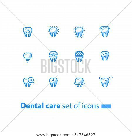 Dental Care, Prevention Check Up, Stomatology Services, Smiling Tooth, Implant And Crown, Vector Lin