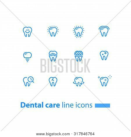 Dental Care, Prevention Check Up, Stomatology Services, Smiling Tooth, Implant And Crown, Vector Lin
