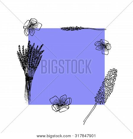 Lavender Flowers Frame In Hand Drawn Style