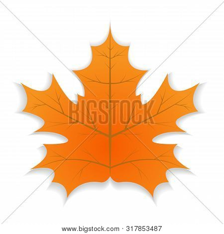 Signle Autumn Leaf. Autumn Maple Leaf With Shadow. Vector Illustration
