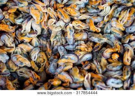 Raw Material Of Fried Mussel (hoy Tod) In Front Of Local Street Food From Thailand.