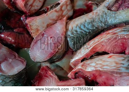 Hilsa Fish Being Cut For Cooking