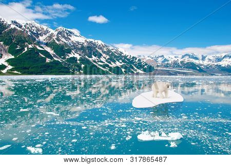 White Icebear Drifting On A Ice Floe. Environment, Ecosystem And Global Warming Concept.