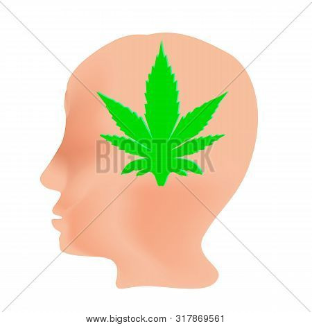The Effect Of Hemp On Humans. Cannabinoid Treatment. Properties Of Marijuana. Leaf And Head. Cannabi