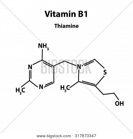 Vitamin B1. Thiamine Molecular Chemical Formula. Infographics. Illustration On Isolated Background.