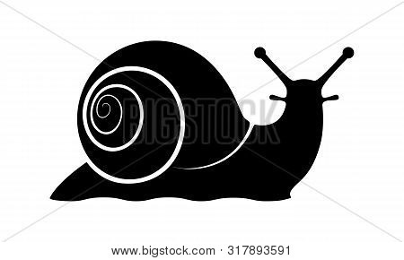 Snail graphic icon. Snail symbol. Snail black silhouette isolated on white background. Logo. Vector illustration