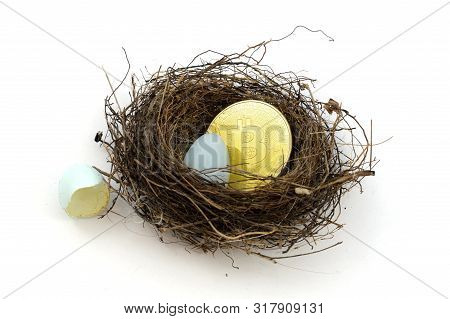 A Concept Based On Longterm Investments Of The Cryptocurrency Bitcoin Utilizing A Birds Nest And Gol